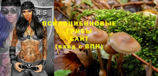 PSILOCYBIN Бугульма