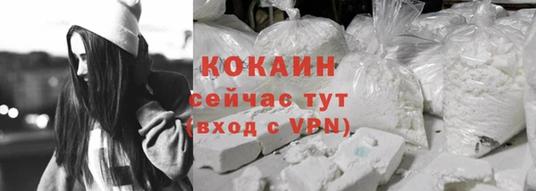 хмурый Бородино