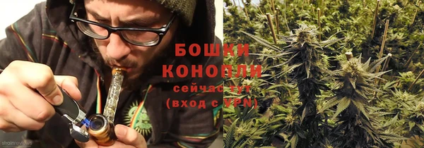 сатива Бронницы