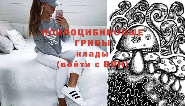 сатива Бронницы