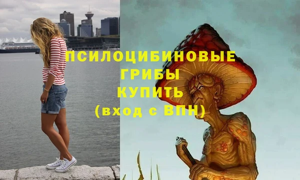 сатива Бронницы