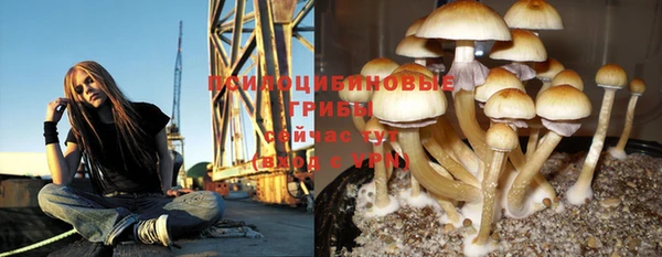 хмурый Бородино