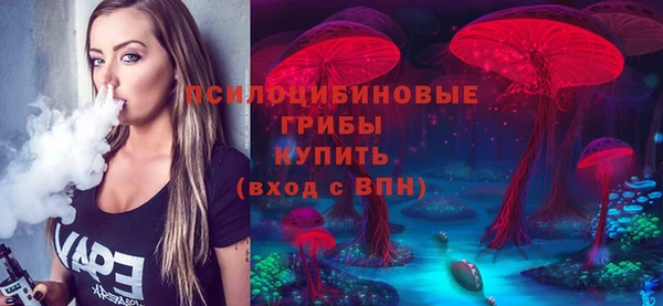 сатива Бронницы