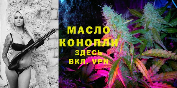 хмурый Бородино