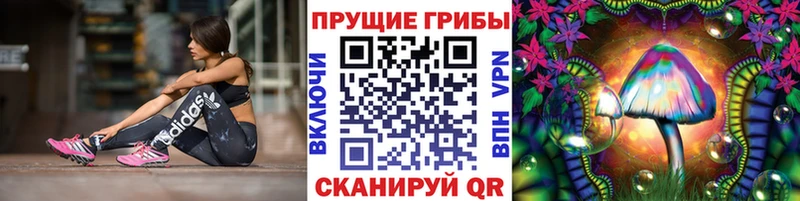 Галлюциногенные грибы прущие грибы  Кировск 