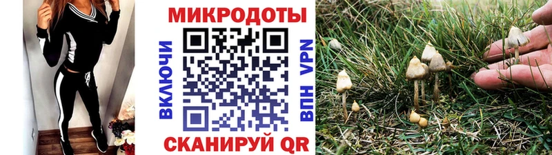 Псилоцибиновые грибы Cubensis Кировск
